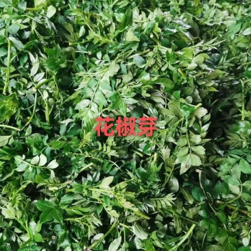 花椒芽