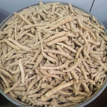 批发西洋参条500克花旗参泡水煮汤山东文登非吉林长白山