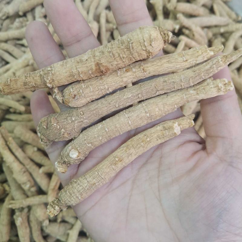 批发西洋参条500克花旗参泡水煮汤山东文登非吉林长白山