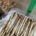 新鲜白芦笋农家院直供口感好一手货源批发量大优惠