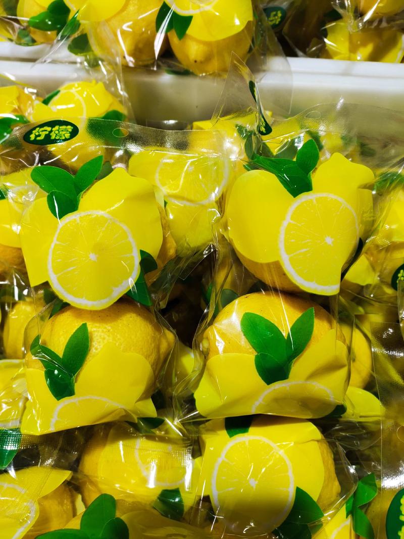 安岳黄柠檬5斤装双胞胎包装可对接电商产地大量供应