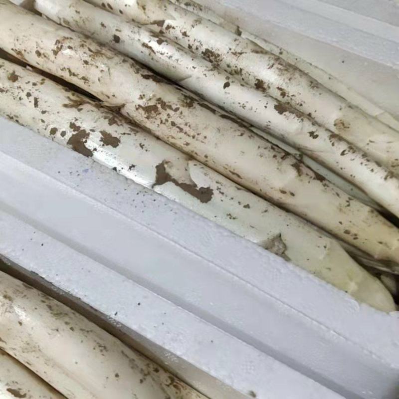 新鲜白芦笋产地直供农家院特供量大价优全国发货！！