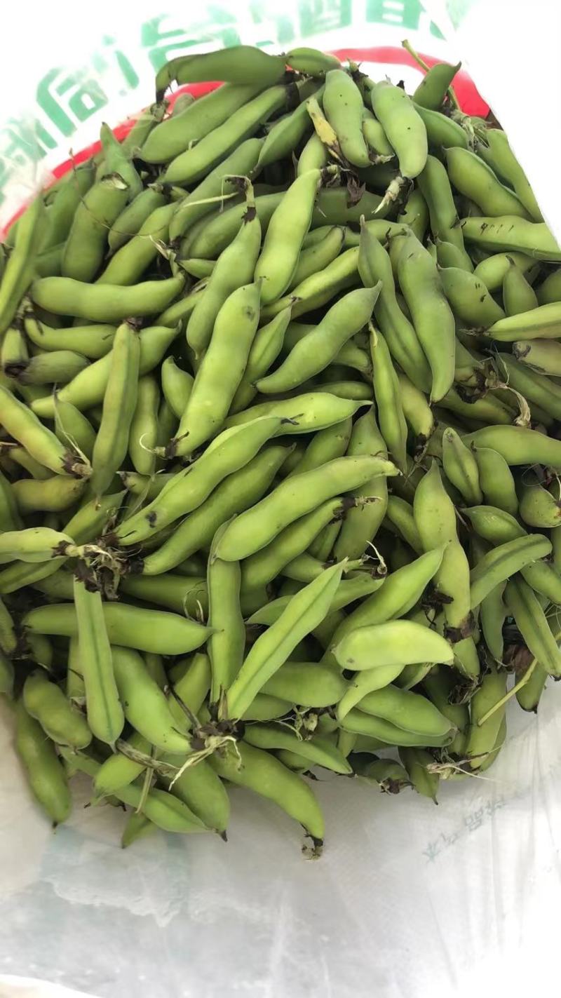 蚕豆，胡豆