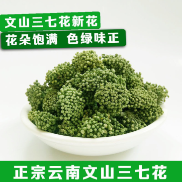 三七花云南文山三七花大朵靓靓三七花