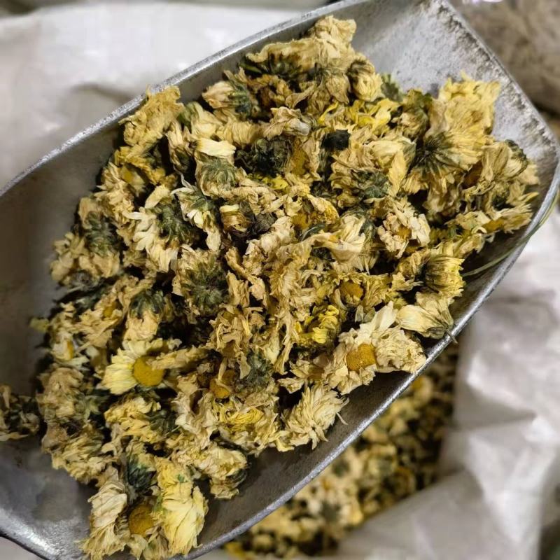 杭白菊无硫一磺花香味浓郁菊朵大肥厚汤色金黄产地直发