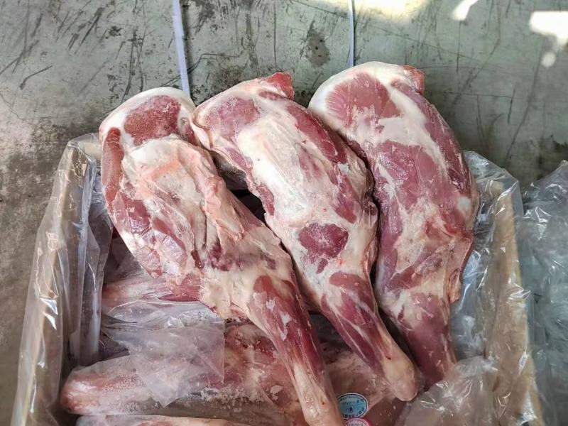 郑州莱聚商贸有限公司羊副产品，羊前腿厂家直销价格便宜