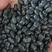 扁黑豆，2022新扁黑豆，打豆浆，生芽黑豆，袋装100斤