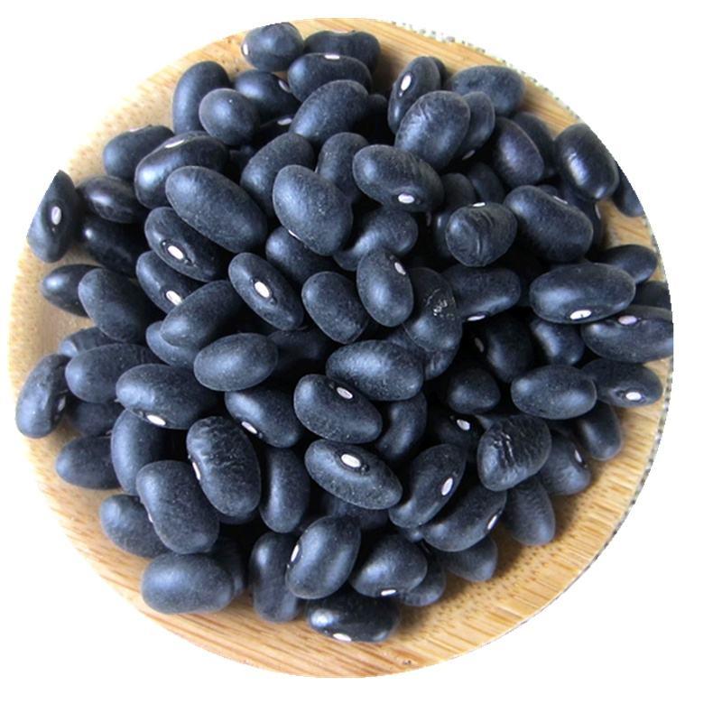 扁黑豆，2022新扁黑豆，打豆浆，生芽黑豆，袋装100斤