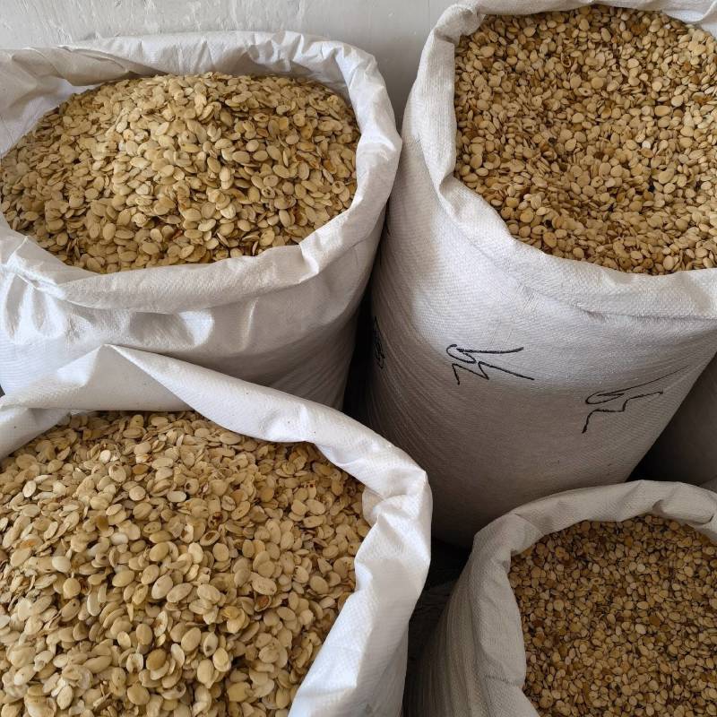 杭白菊无硫一磺花香味浓郁菊朵大肥厚汤色金黄产地直发