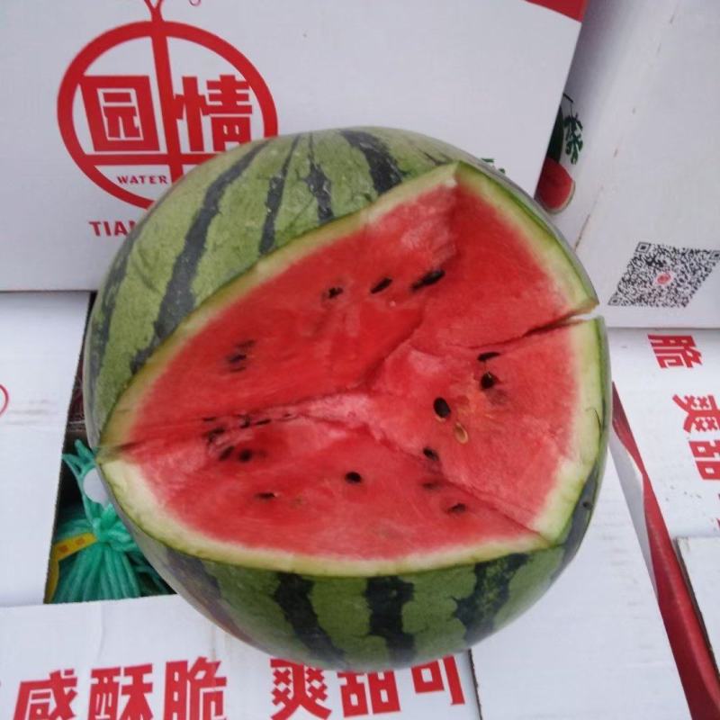 精品西瓜美都大量上货，8斤打底，产地直发质量保证