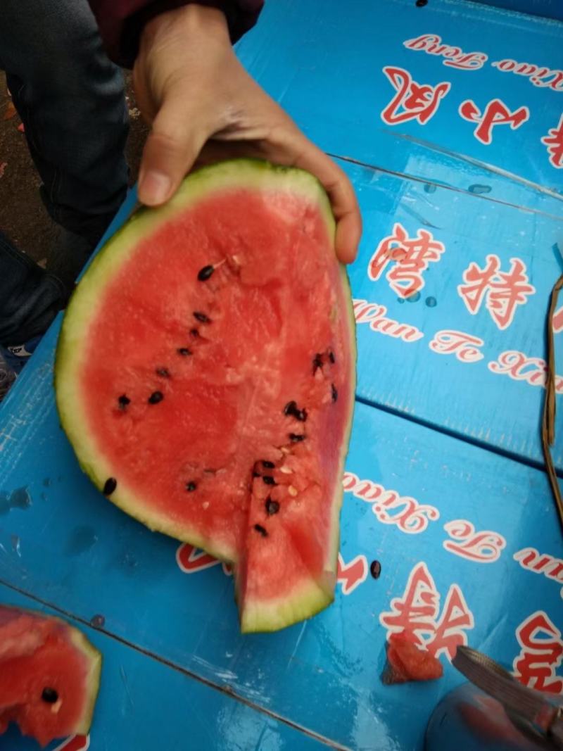 精品西瓜美都大量上货，8斤打底，产地直发质量保证