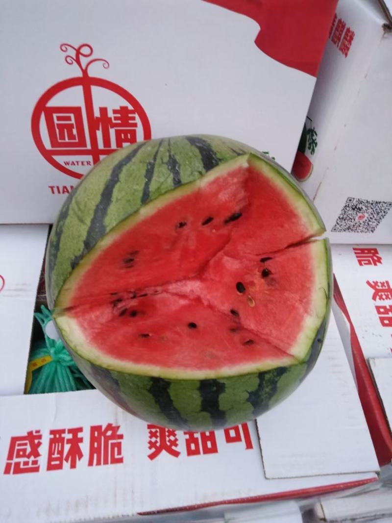 精品西瓜美都大量上货，8斤打底，产地直发质量保证
