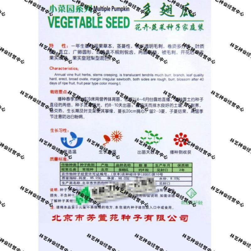 多翅瓜种子观赏瓜种子丑小鸭小南瓜种子庭院阳台菜园盆栽