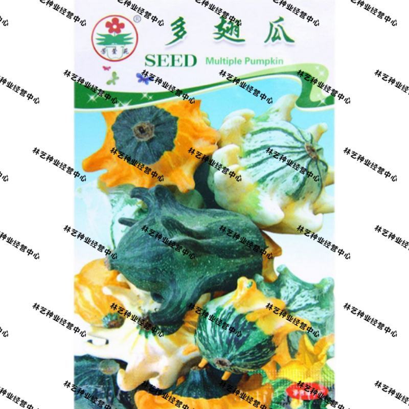 多翅瓜种子观赏瓜种子丑小鸭小南瓜种子庭院阳台菜园盆栽