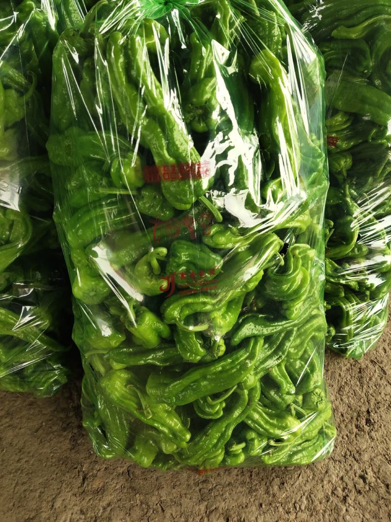 兰陵薄皮椒芜湖椒苏椒鲜辣椒一手货源产地直发保质
