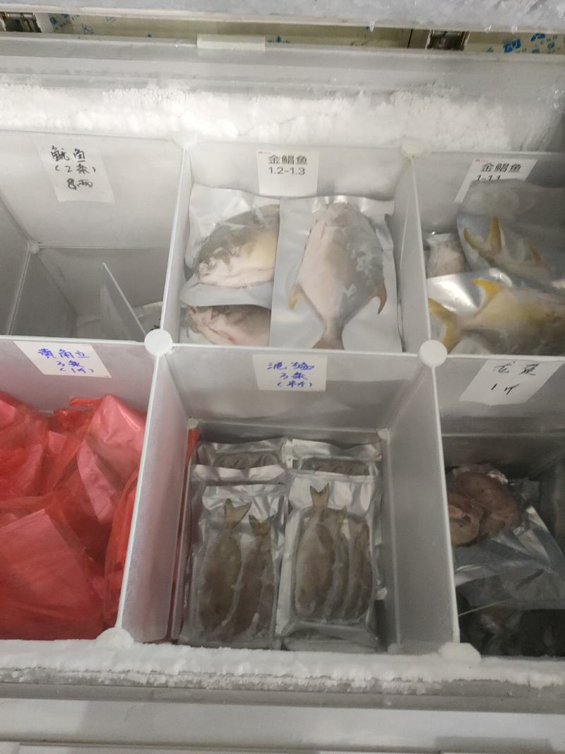 海产品:金鲳鱼，马鲛鱼，金线鱼，海虾，墨鱼肉饼，瑶柱，等