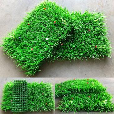 仿真草坪植物墙塑料假花草丛带隔断装饰摆件造景地毯家用绿化