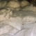 发酵豆腐渣，含大量的蛋白质，营养丰富，价格优惠，厂家直销