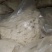 发酵豆腐渣，含大量的蛋白质，营养丰富，价格优惠，厂家直销