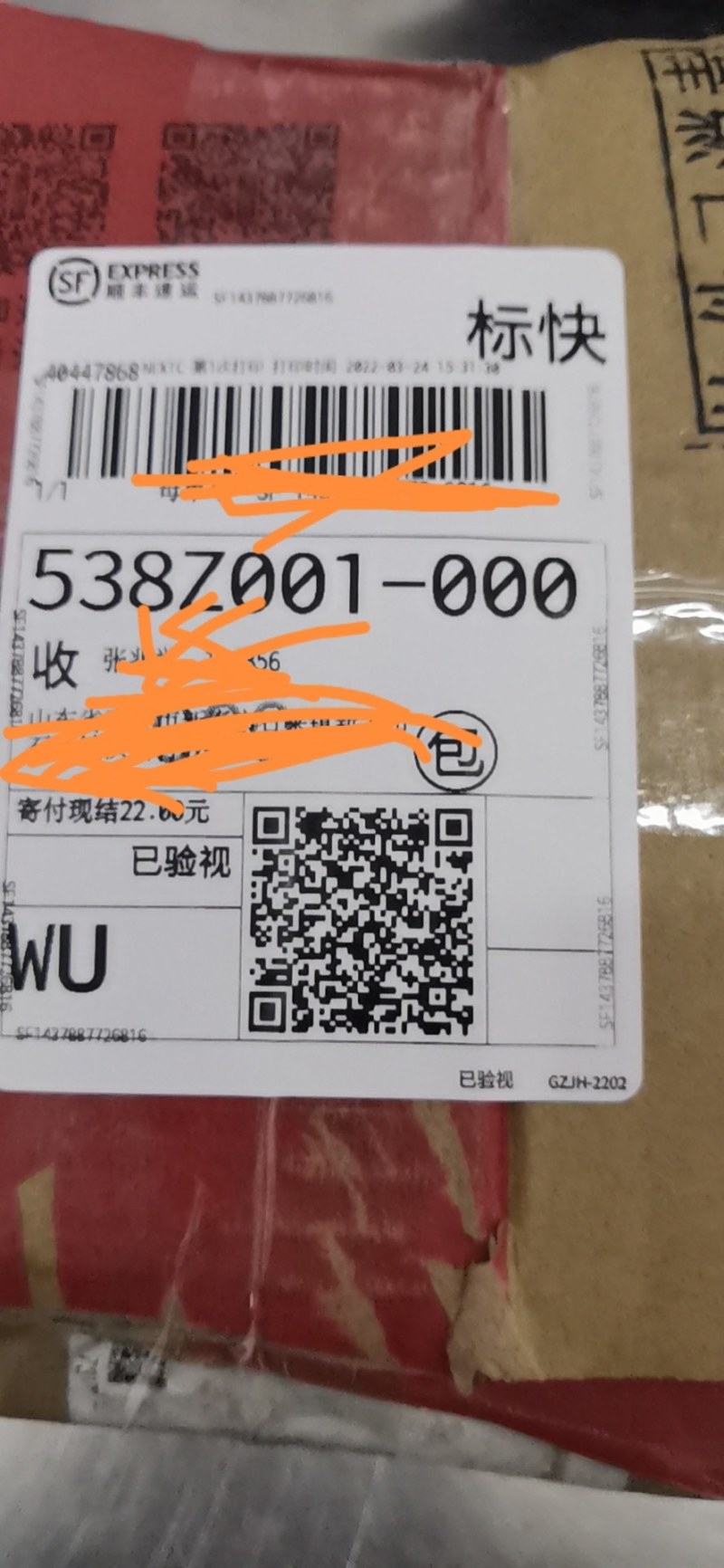 优质高产瓜蒌种苗热销中……，欢迎新老朋友下单！