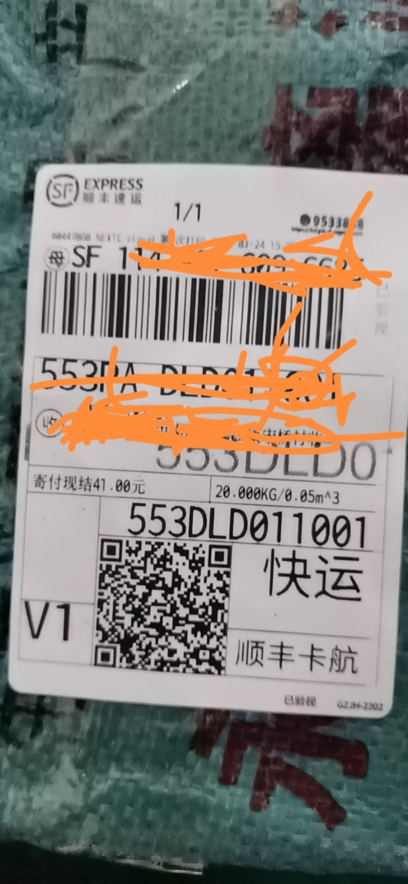 优质高产瓜蒌种苗热销中……，欢迎新老朋友下单！