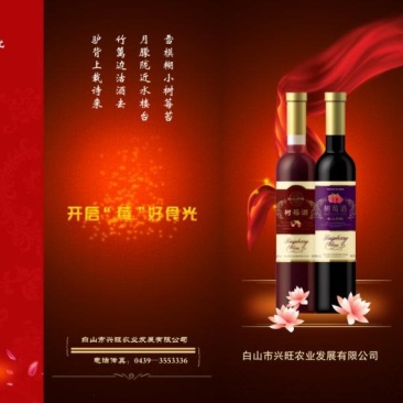 果酒树莓酒双季红树莓酒500毫升树莓鲜果发酵酒