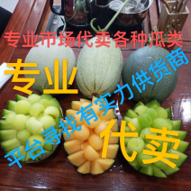 专业市场代卖。寻找有实力供货商