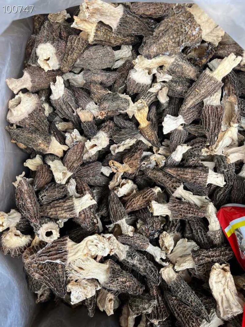 羊肚菌云南丽江羊肚菌产地批发干货云南丽江
