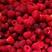 树莓果红树莓冻果大果双季红树莓果黑树莓黄树莓果