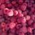 树莓果红树莓冻果大果双季红树莓果黑树莓黄树莓果