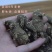 花旗参野生黑皮花旗参整枝正宗进口西洋参段可代切片磨粉