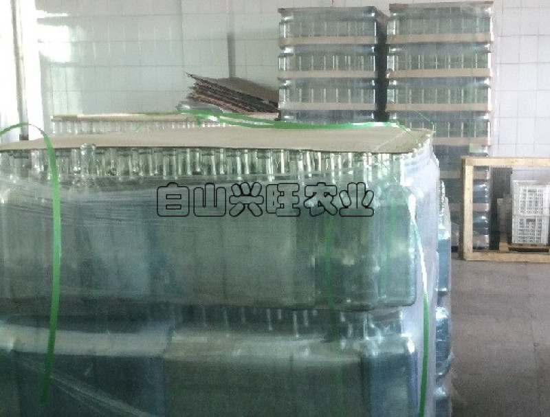 果酒树莓酒红树莓果酒批发红树莓果酒树莓苗