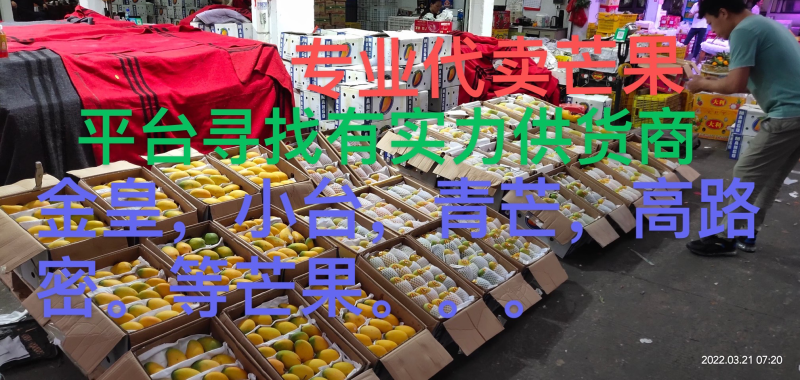芒果专业市场代卖寻找供货商。电话联系