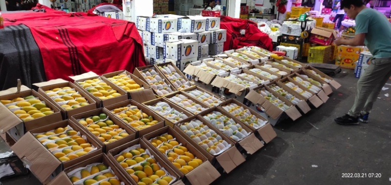 芒果专业市场代卖寻找供货商。电话联系
