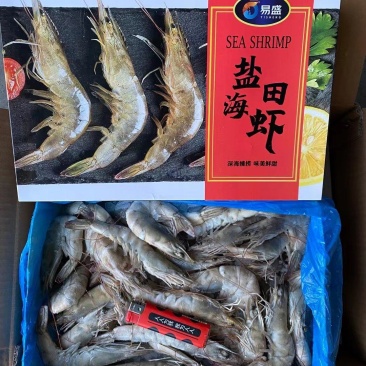 盐田大虾规格齐全支持批发一件代发海水虾