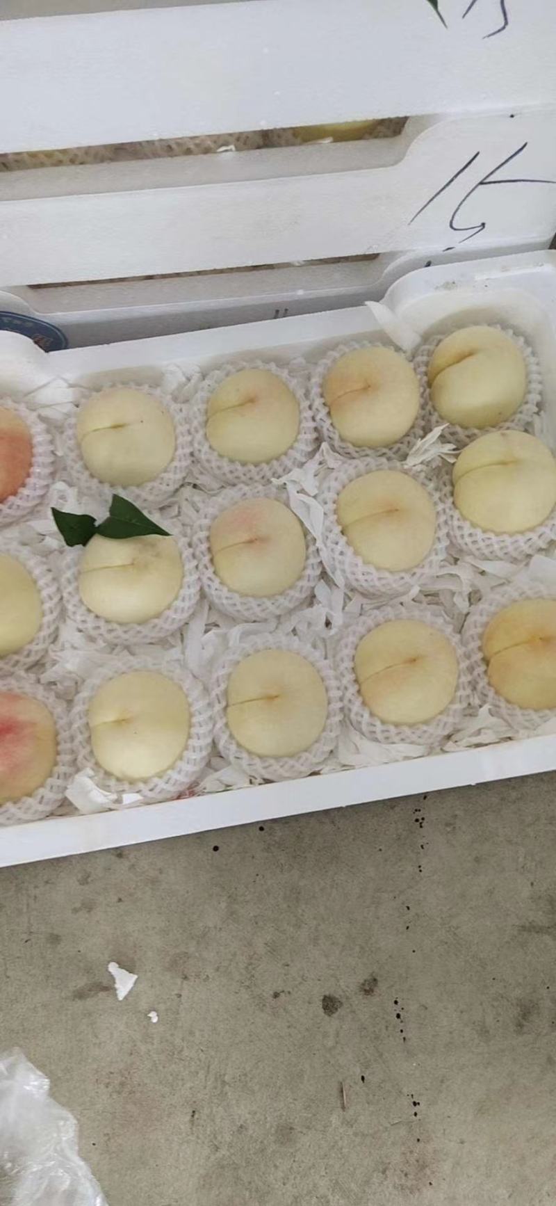 有老板需要的话联系我价格美丽