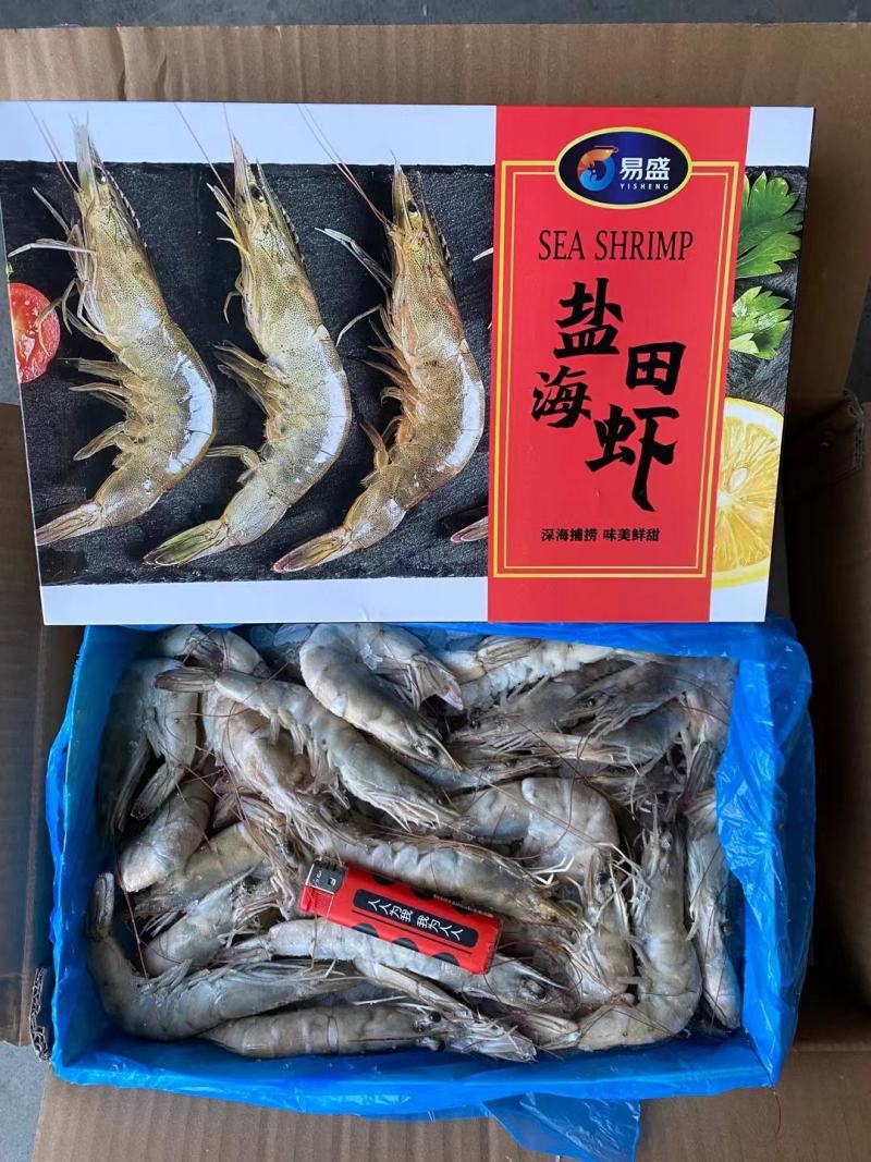 盐田大虾规格齐全支持批发一件代发海水虾