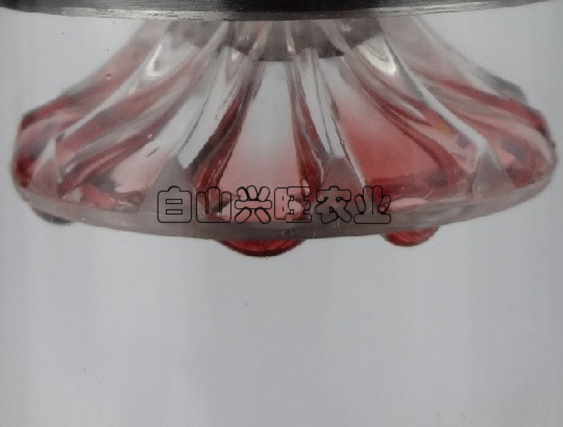 果酒树莓酒红树莓酒双季红树莓果酒