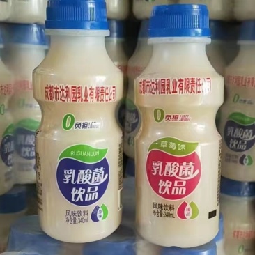 成都达利园乳酸菌