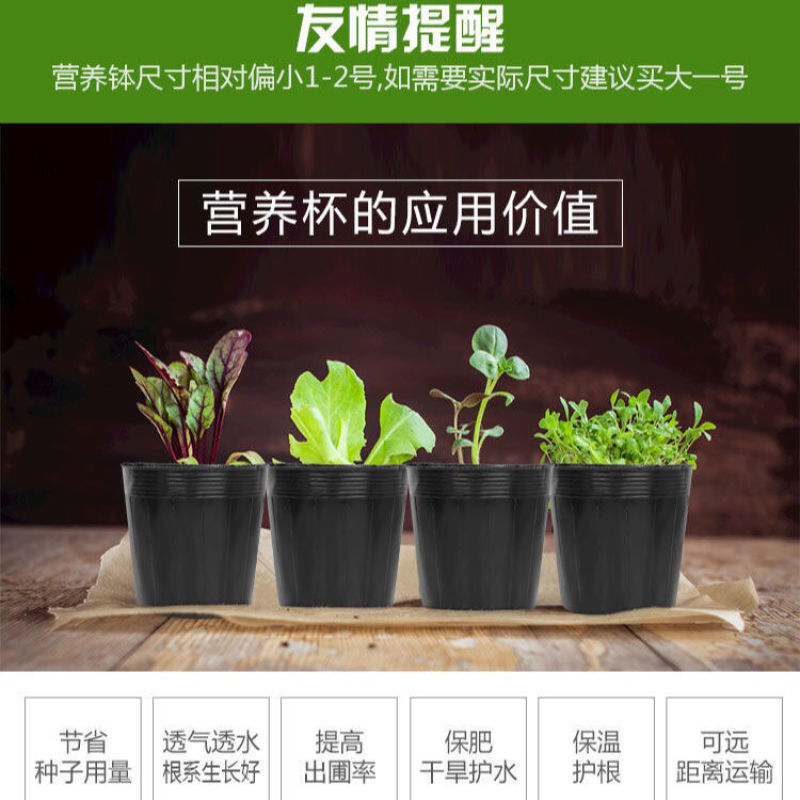 营养杯育苗杯一次性加厚育苗袋塑料花盆育苗盘种菜植育苗盆营