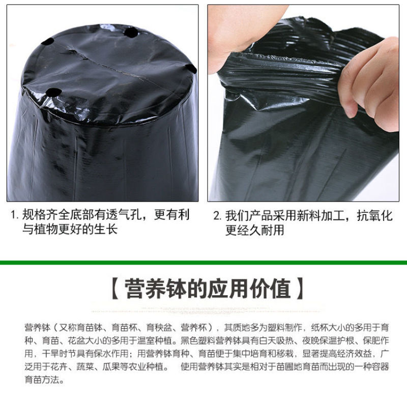 营养杯育苗杯一次性加厚育苗袋塑料花盆育苗盘种菜植育苗盆营