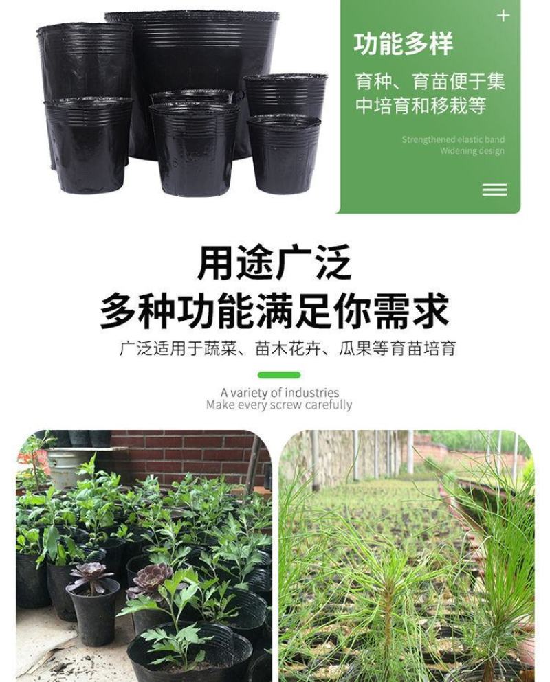营养杯育苗杯一次性加厚育苗袋塑料花盆育苗盘种菜植育苗盆营