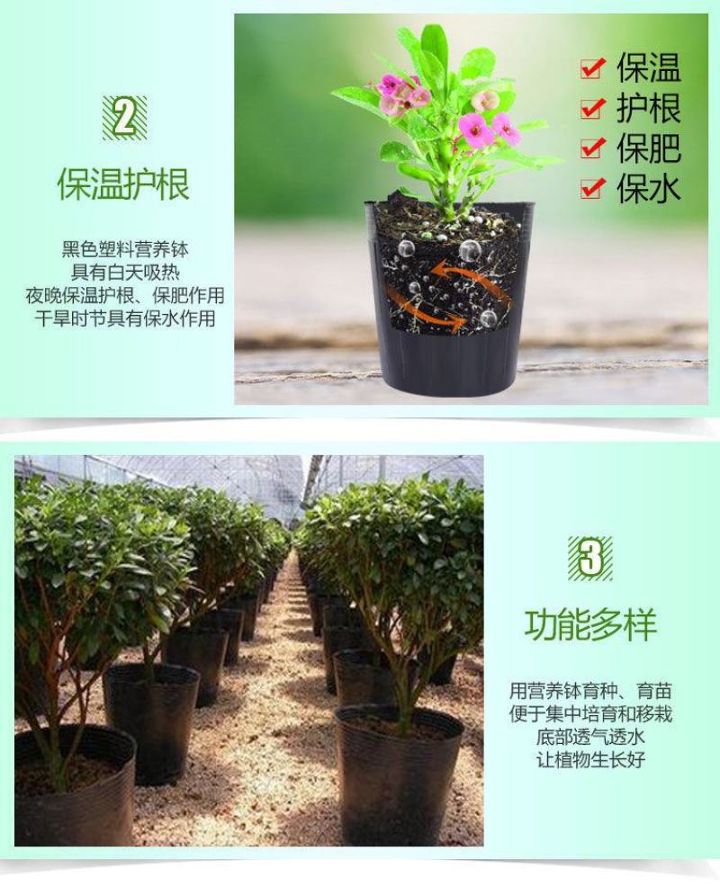 营养杯育苗杯一次性加厚育苗袋塑料花盆育苗盘种菜植育苗盆营