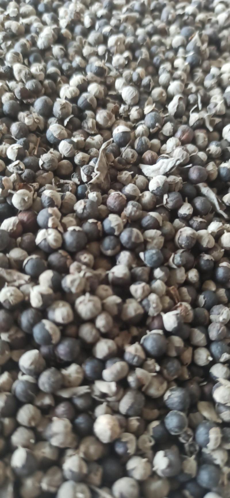 蔓荆子中药材批发蔓荆子质量保证量大从优