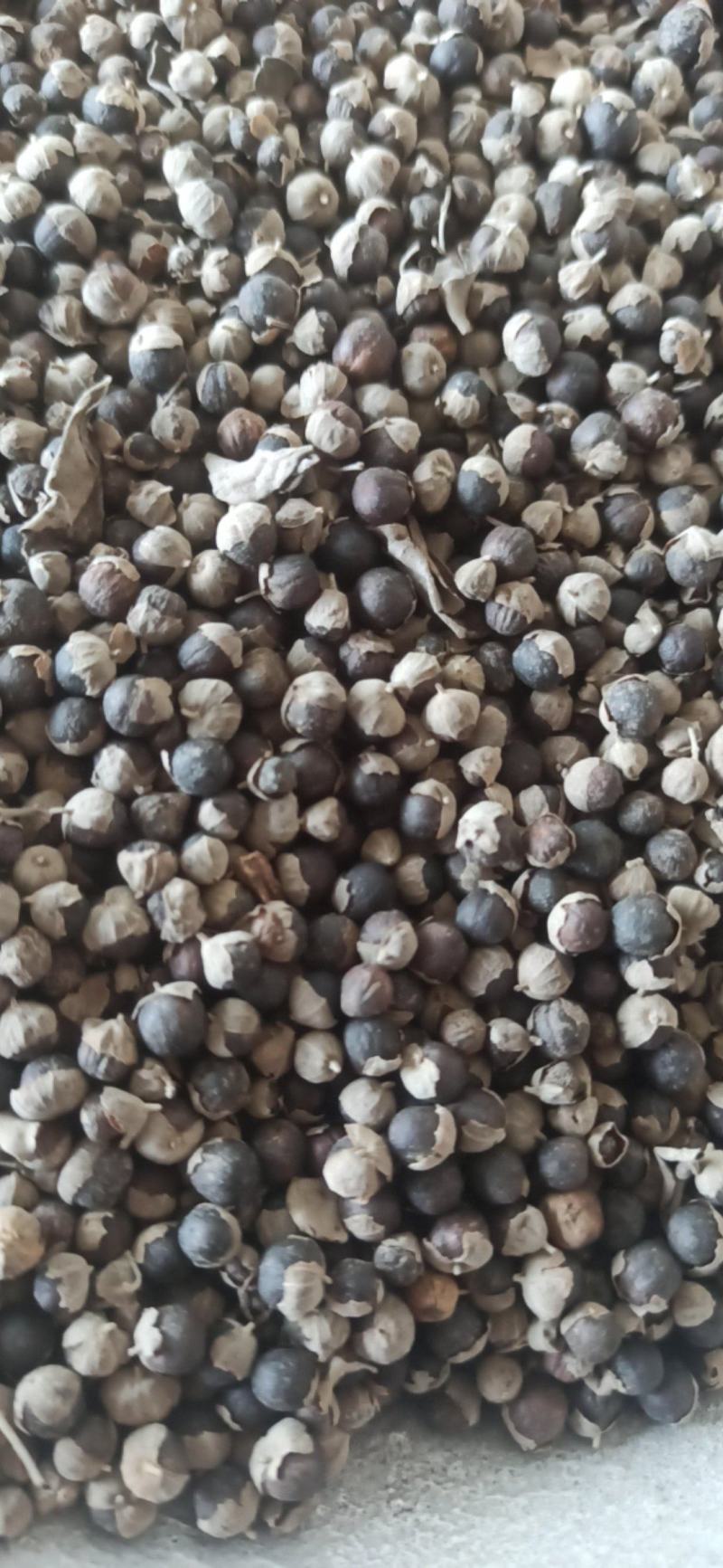 蔓荆子中药材批发蔓荆子质量保证量大从优