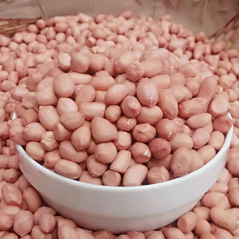 河南优质小白沙花生米，常年供应各种规格的商品米和通米。
