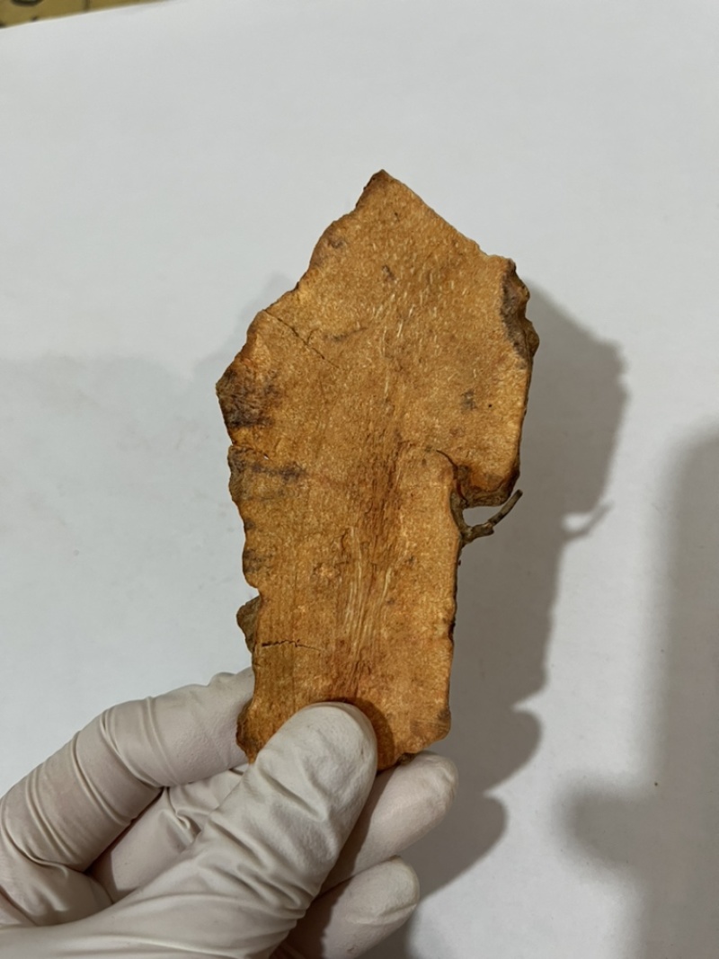 土茯苓干片价格实惠产地直销质量保证欢迎进店选购
