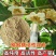 猕猴桃花粉雄花粉人工授粉活性红心猕猴桃公树花粉绿心花粉通