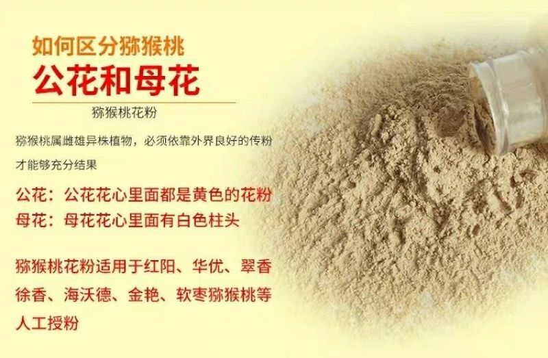 猕猴桃花粉雄花粉人工授粉活性红心猕猴桃公树花粉绿心花粉通