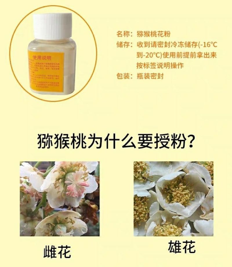 猕猴桃花粉雄花粉人工授粉活性红心猕猴桃公树花粉绿心花粉通
